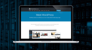 wordpress-5-2-security-update-web-design-brisbane